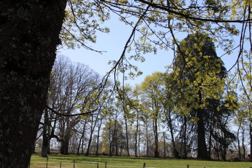 Les Gites De Recoleine Nébouzat Esterno foto